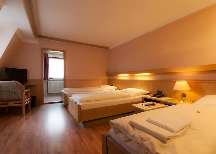 Hotel Rothenburger Hof 2*